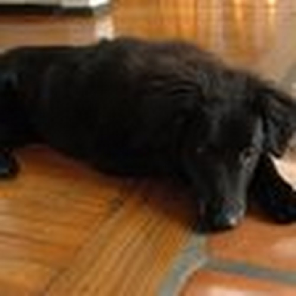 Meet your Posher, Ruby
